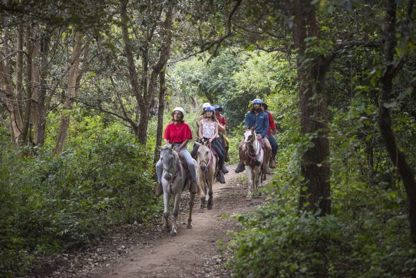 Tubing + Horseback Riding - Guanacaste - Image 2