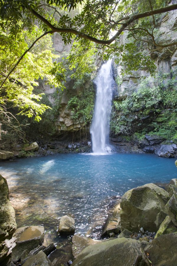 Rincón De La Vieja - Pailas - Cabalgata - Catarata - Aguas Termales - Image 2